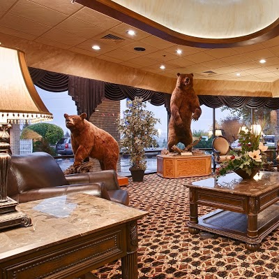 BEST WESTERN DUNMAR INN, Evanston, United States of America