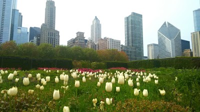 Extended Stay America - Chicago - Schaumburg -Convention Ctr, Schaumburg, United States of America