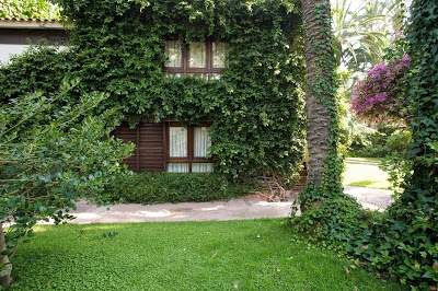 Huerto Del Cura, Elche, Spain