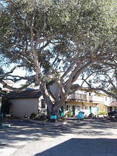 Sea Breeze Inn And Cottages, Pacific Grove, United States of America