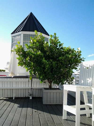Townhouse Hotel Miami, Miami Beach, United States of America