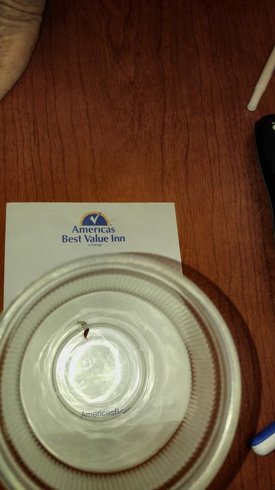 Americas Best Value Inn Eugene, Eugene, United States of America
