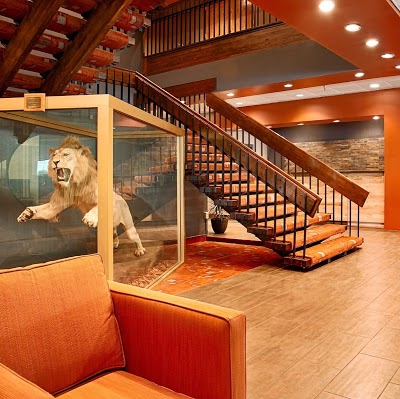 Best Western Golden Lion Hotel, Anchorage, United States of America