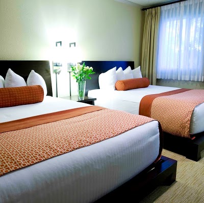 The Zen Hotel, Palo Alto, United States of America