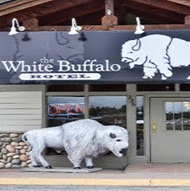 White Buffalo, West Yellowstone, United States of America