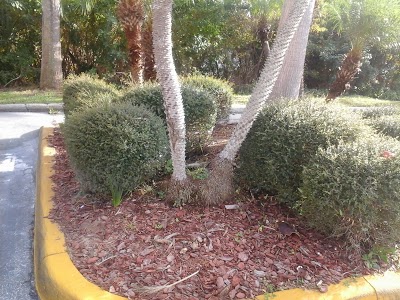 Baymont Inn & Suites Orlando - Universal Studios, Orlando, United States of America