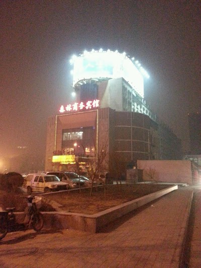 WEILAI CONIFER HOTEL, ZHENGZHOU, China