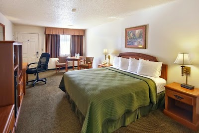 BEST WESTERN LLANO, Llano, United States of America
