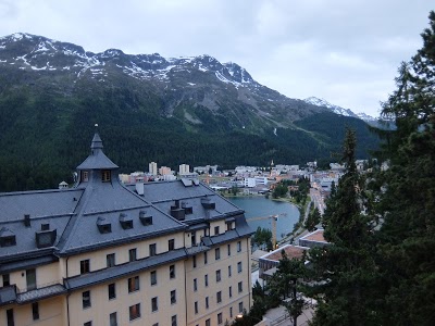 SOLDANELLA, St Moritz, Switzerland