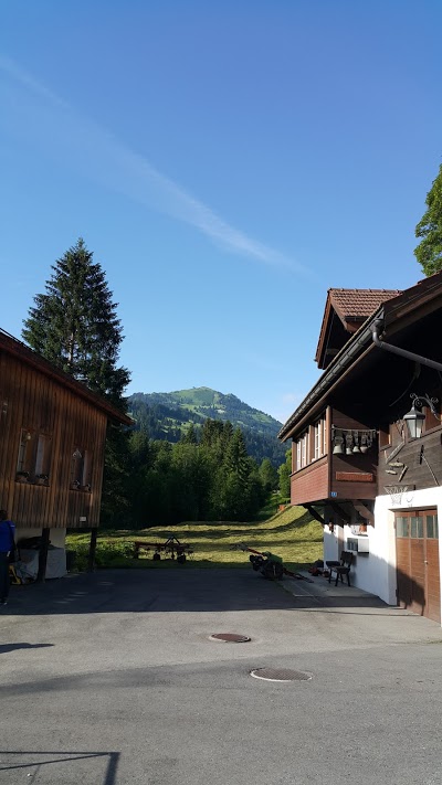 VISTA RESORT HOTEL, Zweisimmen, Switzerland