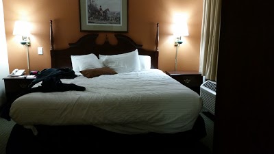 Wingate by Wyndham - Plainfield IN, Plainfield, United States of America