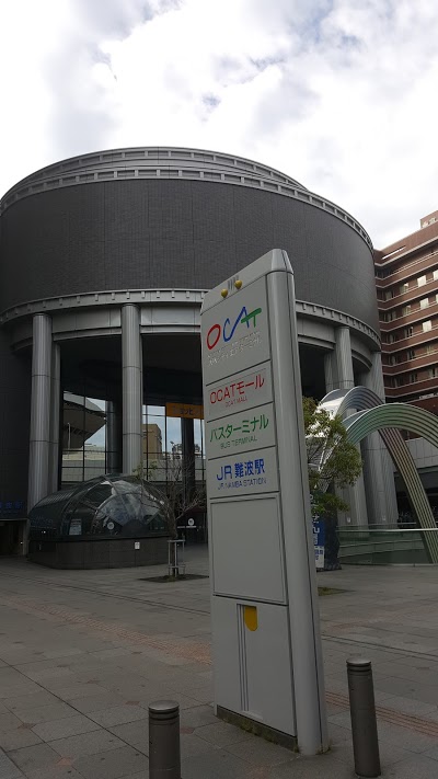 Namba Oriental Hotel, Osaka, Japan