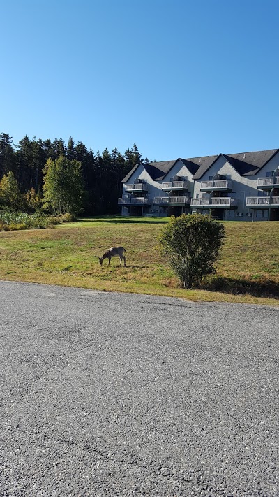Harbor Ridge Resort, Southwest Harbor, United States of America