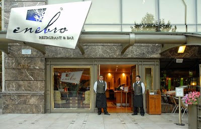 Hotel Plaza El Bosque Ebro, Santiago, Chile