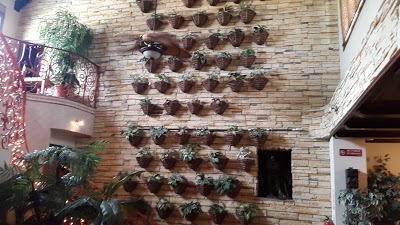 Best Western Hotel Casa Roland, San Jose, Costa Rica