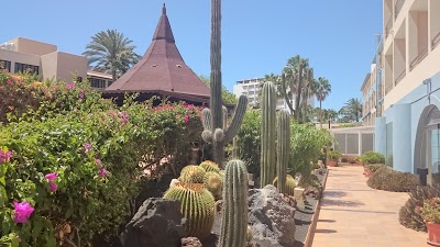 IFA Altamarena Hotel, Pajara, Spain