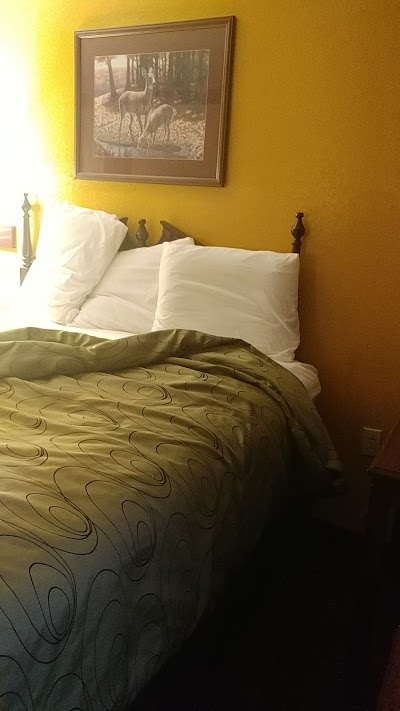 Clairmont Inn & Suites - Warren, Warren, United States of America