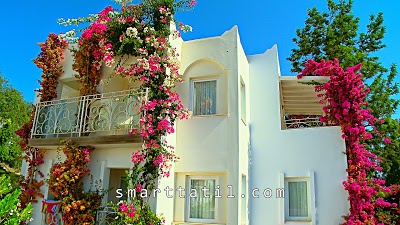 Yasmin Bodrum Resort - All Inclusive, Bodrum, Turkey