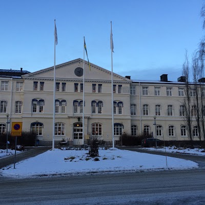FURUNASET HOTEL CONFERENSE PIT, Pitea, Sweden