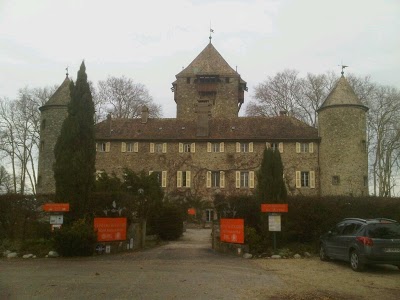 CHATEAU DE COUDREE, SCIEZ, France