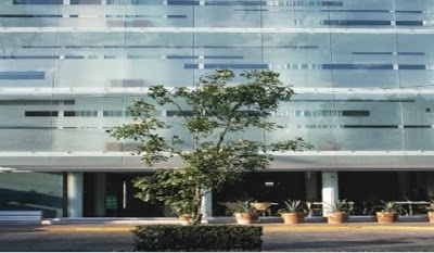 Habita, Mexico City, Mexico
