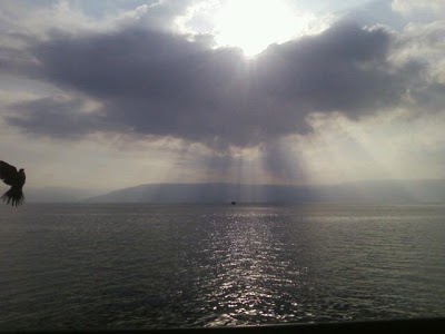 Caesar Premier Tiberias, Tiberias, Israel