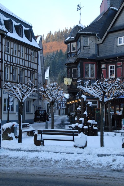RINGHOTEL BLAUE ECKE ADENAU, 53518 Adenau, Germany