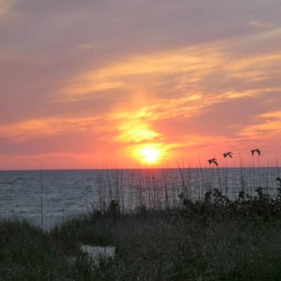 A Beach Retreat, Nokomis, United States of America