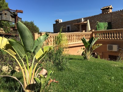 FINCA ES PICOT, Son Macia, Spain