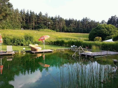HANNER, Mayerling, Austria