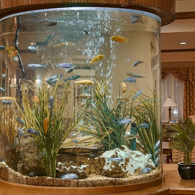 BEST WESTERN PLUS NORTHSHORE, Portland, United States of America