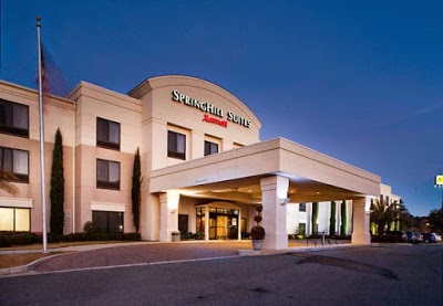 SpringHill Suites by Marriott Savannah I-95, Savannah, United States of America