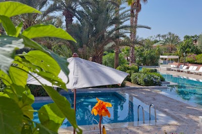 Jardin d, Marrakech, Morocco