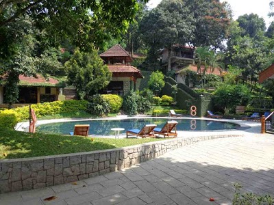 Cardamom County, Thekkady, India