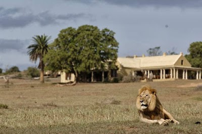 Gorah Elephant Camp, Addo, South Africa