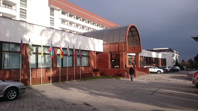 SINDICA INTOUR HOTEL, NALCHIK, Russian Federation
