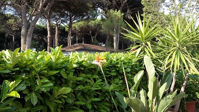 Hotel Lory, Eraclea, Italy