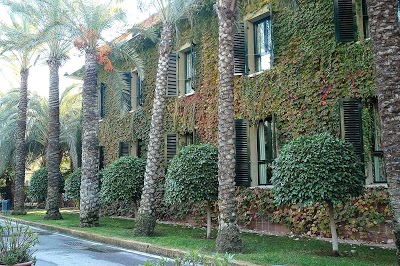 Jardin Milenio, Elche, Spain