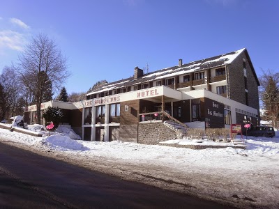 Brit Hotel Les Mouflons, Besse-et-Saint-Anastaise, France
