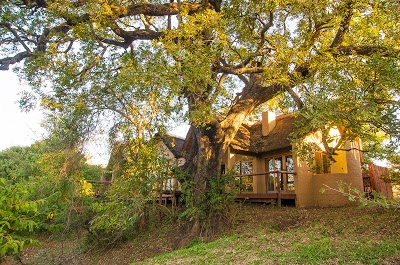 Shishangeni Private Lodge, Kruger National Park, South Africa
