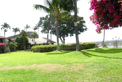 MAALAEA SURF  MCH, Kihei, United States of America