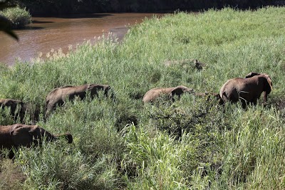 Lion Sands - Tinga & Narina, Kruger National Park, South Africa