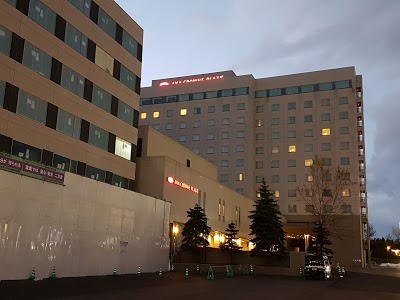 Crowne Plaza Ana Chitose, Chitose, Japan