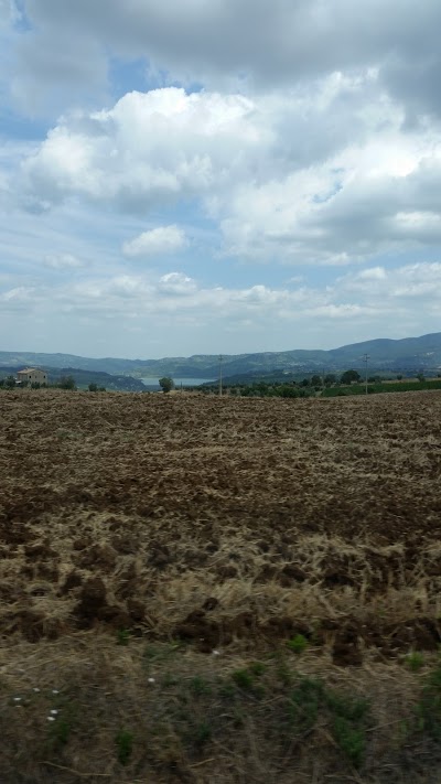 Gialletti, Orvieto, Italy