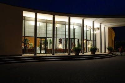 Airport Palace Hotel, Bologna, Italy