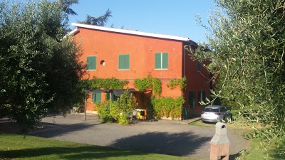 Riserva dell'Olmo, Rome, Italy