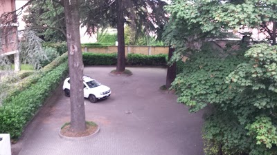 Hortensia, Busto Arsizio, Italy