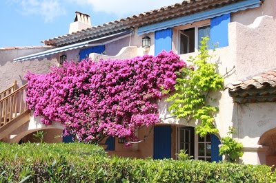 Les Santolines, Sainte-Maxime, France