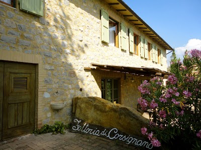 Fattoria di Corsignano, Castelnuovo Berardenga, Italy