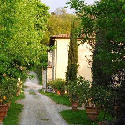 Tenuta Il Tresto, Poggibonsi, Italy